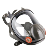 Mascara Pieza Facial Completa