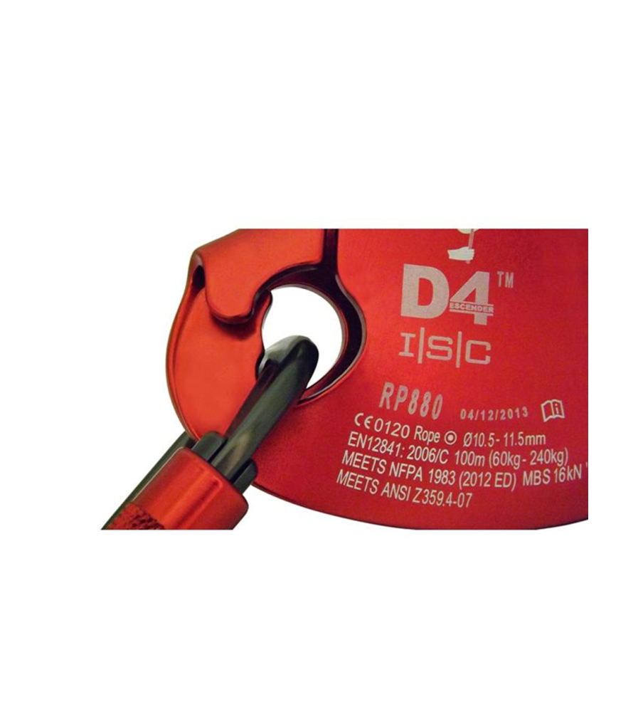 D4