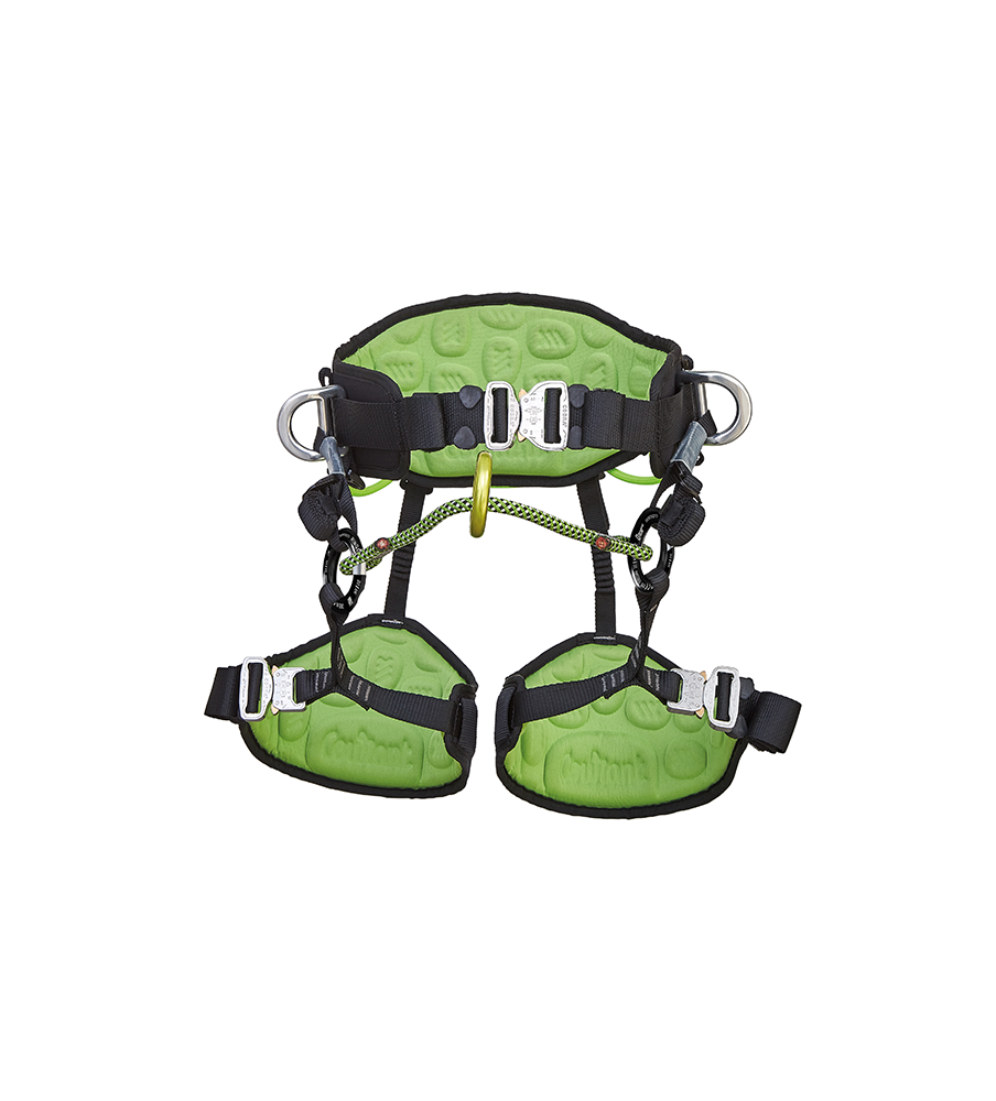 Koala Arnes para poda